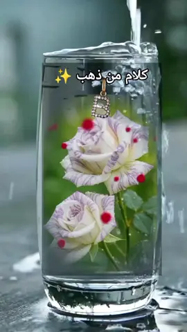 #CapCut #كلام_من_ذهب #❣️❣️❣️ #❣️❣️❣️ 