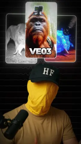 How to create a VEO 3 page that runs on autopilot #veo3 #contentcreation #goviraltiktok 