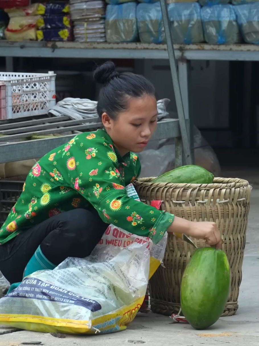 Harvest Papaya and bring it to the market