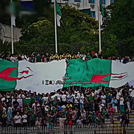 الحلم بات يقترب نحو المونديال يالجزائر! 🇩🇿❤️🤯 #المصمم_ميدو_🇩🇿🔥 #فاست⚡ #كوتاهينو #الجزائر🇩🇿  #fyp 