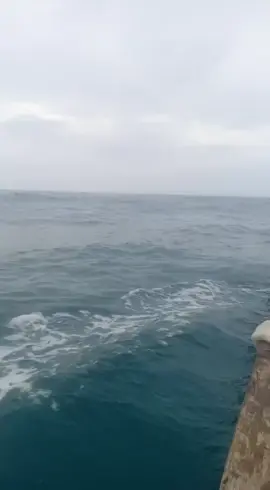 Ketika para angler menghadapi gelombang besar