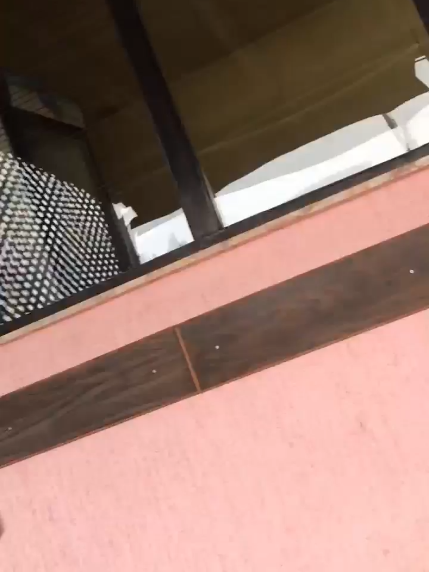 Ljubisa Kobas - Problemi sa Brunom #ljubisakobas #bruno #pasce #funny #balkan #balkancore #smijesno #fyp
