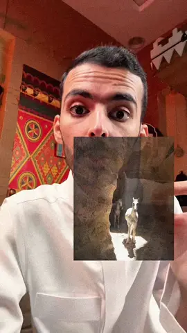 The experience of watching Waleed’s stories #foryou @وليد قصص 🤍 #foryou #like #goldenbrown 