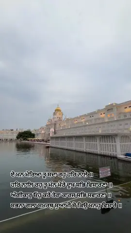 Waheguru ji 🙏 #foryou #wmk_ji #fyp #ੴwaheguruੴ #foryoupage 🙏🙏❤️