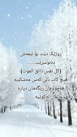 #ئەکتیڤبن🥀🖤ـہہـ٨ــہــ❥ــ 
