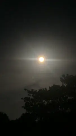 আমি কখনোই বিষ পান করিনি, তবে বিষের থেকেও মারাত্মক কথা হজম করেছি বহুবার!😌 #logno #fyp #foryoupage #view #viraltiktok 