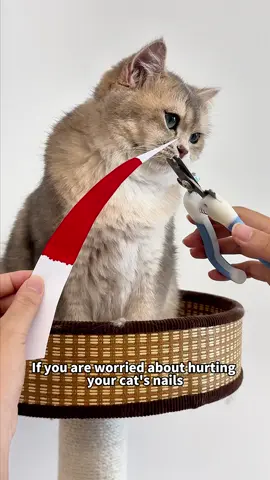 No more worrying about hitting my cat's bloodline.Try it.#catnails #catnailtrim #catmom #catsoftiktok #tiktokmademebuyit #dealsforyoudays 