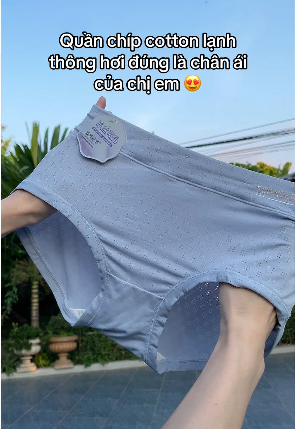 Quần chíp cotton lạnh mặc mát mềm thoải mái mua 4 tặng 1 #quanchip #quanchipcotton #quanchipnu #quanthunlanh #dolot 
