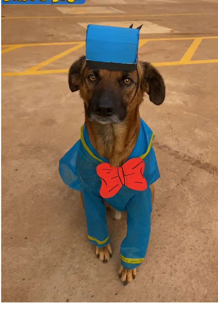 COSPLAY PATO DONALD 🐶 #cosplay #desenho #patodonald #donaldduck #dog 