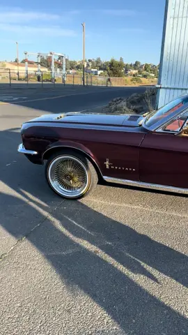 #mustang #67Stang #Vallejo #DropTop