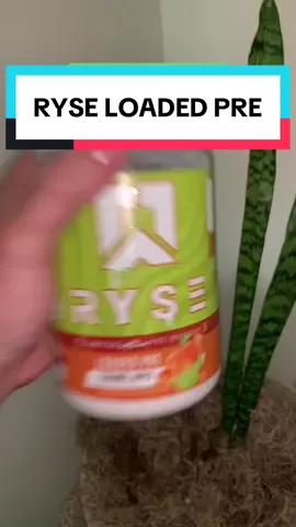 JUST RESTOCKED! - #rysesupplements #RYSExSuperBrandDay #TikTokShopLaborDaySale  #PricesMayVary RYSE, RYSE Supplements, RYSE Supps, RYSE Products, Workouts, Gym, Gym Supplements, Gym Tiktok, Gymtok, Gymtoks, Inspirational Gym *Disclaimer: Prices, sales promotions, coupons, and discounts are accurate at the time of recording and posting this video. However, these offers are subject to change at any time at the discretion of the seller and/or TikTok, as limited-time promotions may be updated or expire without notice. Availability of coupons, discounts, sale prices, and free shipping may vary by account. For the most current and accurate pricing and promotional details, please refer to the product page directly. The items and quantities shown in your shopping cart at checkout reflect exactly what you will receive.* #ryseloadedpre 