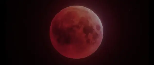 خسوف القمر من أعظم الآيات التي يذكرنا الله بها بعظمته وقدرته. مشهد يخلّي الواحد يقف مذهول، بين خوف من عذاب الله، ورجاء رحمته. قال تعالى: وَمِنْ آيَاتِهِ اللَّيْلُ وَالنَّهَارُ وَالشَّمْسُ وَالْقَمَرُ ۚ لَا تَسْجُدُوا لِلشَّمْسِ وَلَا لِلْقَمَرِ وَاسْجُدُوا لِلَّهِ الَّذِي خَلَقَهُنَّ [فصلت:37]. تذكير لكل قلب غافل، إن اللي نشوفه مو مجرد حدث كوني، بل رسالة من ربنا، نرجع، نتفكر، ونسجد، ونعرف إن الدنيا كلها تدور بأمره سبحانه🙏🏼.#foryoupage #explore #قران #خسوف_القمر #follow 