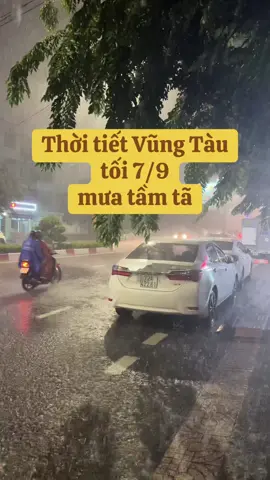 thời tiết Vũng Tàu tối 7/9 mưa tầm tã #thoitietvungtau #thoitiet #baisauvungtau🏖🏖🏖🌅🌅🌅 #thaptamthang #thoitietvungtauhomnay 