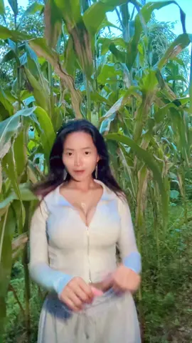Mero gau jhapa makai bari 😂😂🤛🤛