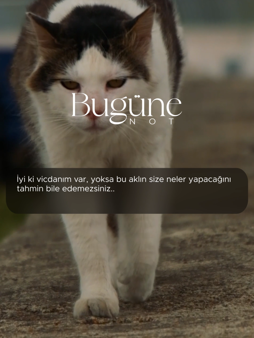 İyi ki vicdanım var. Yoksa bu aklın size neler yapabileceğini tahmin bile edemezsiniz.. . . . #alıntı #edebiyat #şiir #kesfet 