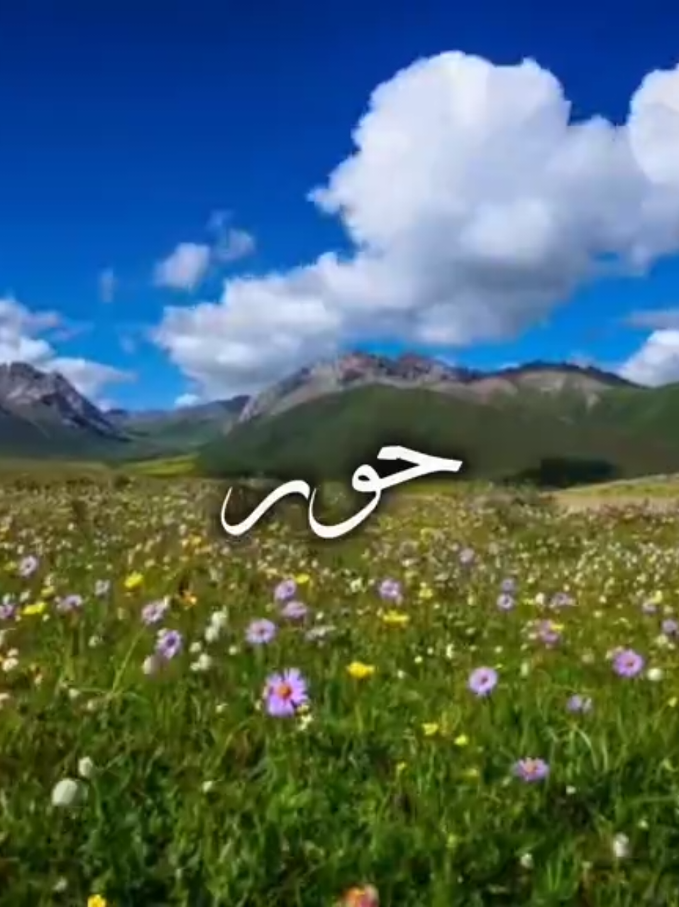 كايز ما لكيت هواي قصائد باسم حوراء🌷 .  .  .  .  #fyp #foryou #foryoupage #اكسبلور #viral 