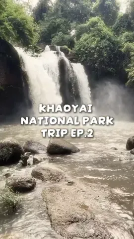 KHAOYAI NATIONAL PARK TRIP🍃🌱 EP.2 is here! ♥️ follow for more travel contents from us ! 🚘🧳⛰️⛺️ #khaoyainationalpark #เขาใหญ่ #น้ําตกเหวสุวัตเขาใหญ่ #traveltok 