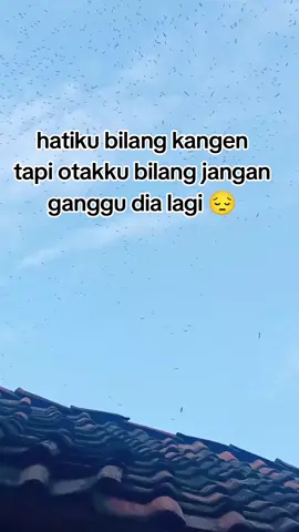bantu follow #galau #fyp 