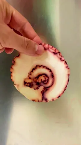 Octopus carpaccio #cheflife #octopus #carpaccio #cookie  @Gronda @chefincamicia @Tasty 