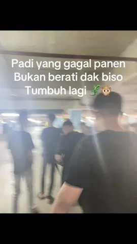#berandatiktok 