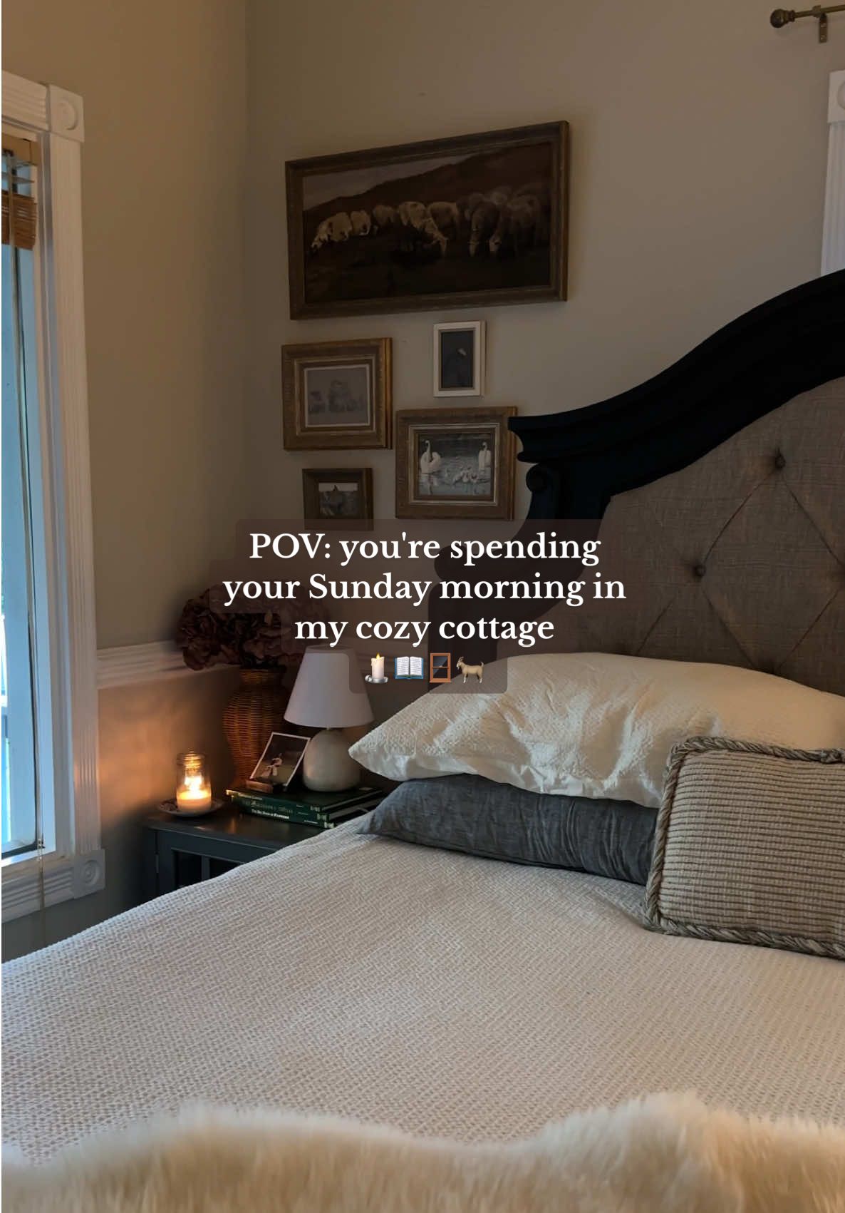 Mornings here move a little slower 🕊️what makes a morning feel cozy to you?  #slowliving #cozyathome #morningroutine #comfortcreator #romanticizeyourlife 