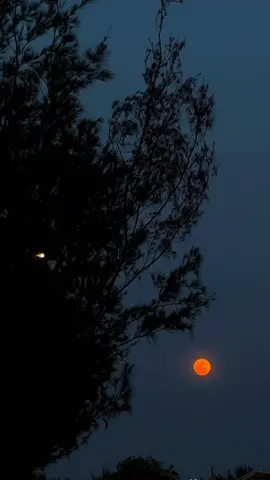 Full moon 🌕 #bulanpurnama 