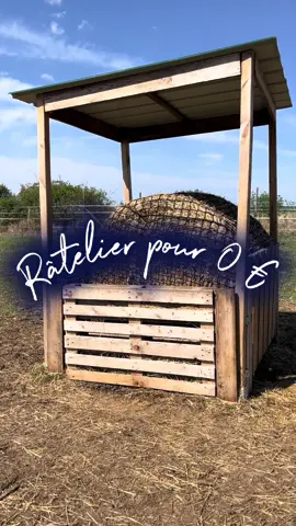 Notre râtelier fait maison pour 0€ ! Le genre de construction assez basiques mais qui coûtent un rein dans le commerce  #threeshadesofgrey #horsesoftiktok #horses #ecurie #ecuriealamaison    