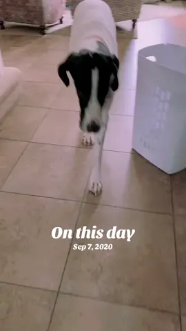 #onthisday 