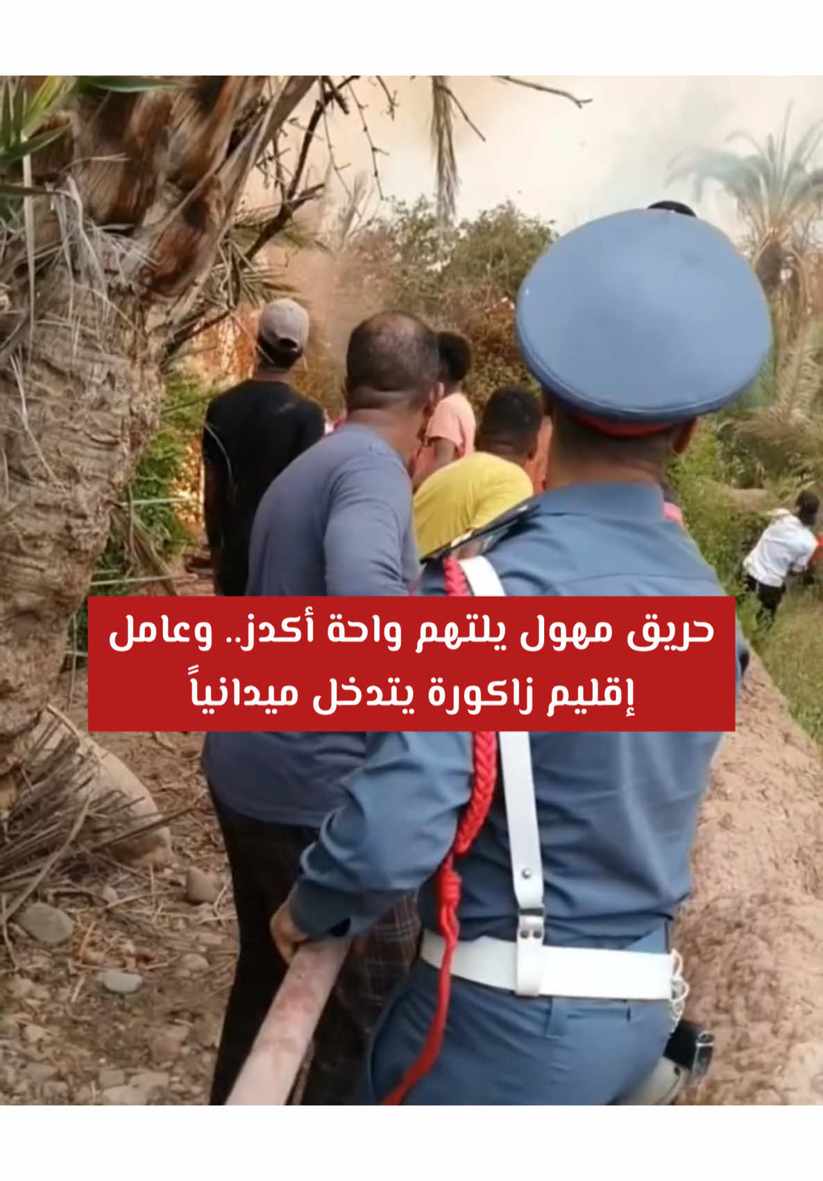 🔥 حريق مهول يلتهم واحة أكدز.. وعامل إقليم زاكورة يتدخل ميدانياً