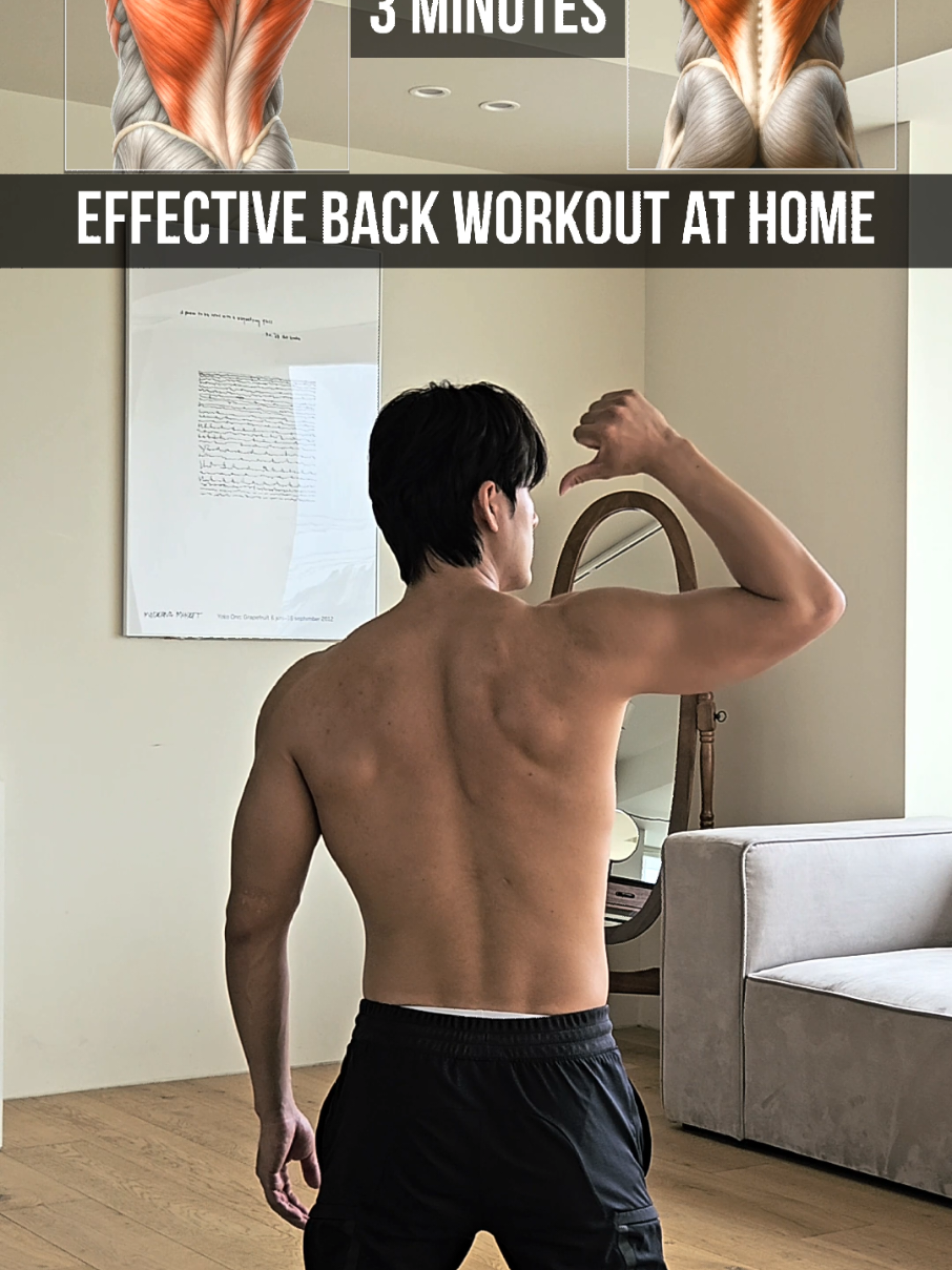 Easy Effective Back Workout | 쉽고 효과적인 등 운동 #Fitness #workout  #back #backworkout #homeworkout 