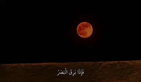 سورة : القيامه |6-12|| #fyp #قران #quran 