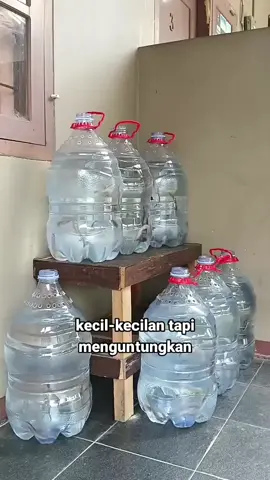 tambak lele mini di rumah#tambak#lele#viraltiktok #fyppppppppppppppppppppppp 