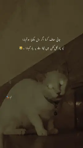 💔👈#~#tanha #fyppppppppppppppppppppppp #fyppppppppppppppppppppppp #fyp #unfreezemyacount #viows #viral #foruyou 