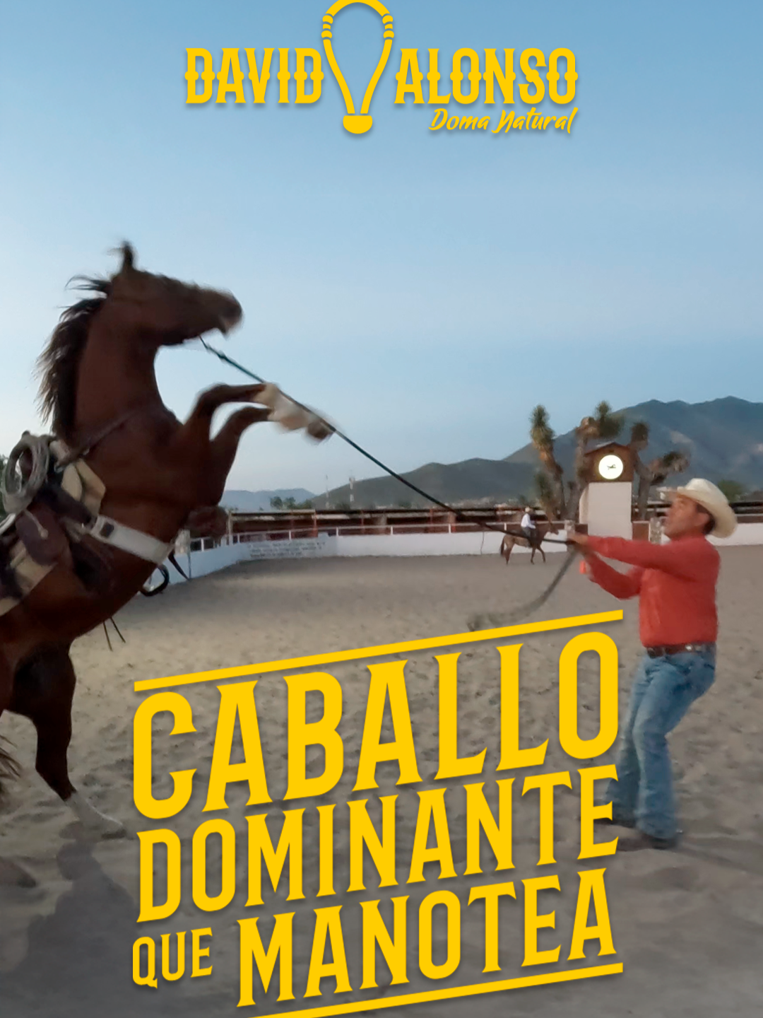 En mi experiencia, cuando estamos ante un caballo de perfil dominante que se niega a hacer una maniobra en particular, seguramente es porque esta sintiendo miedo, o algún dolor, o por enojo ante la presión. En este video les presento el caso de este caballo que trabajamos en dos sesiones, viene algo lastimado pero eso no le impide levantarse de manos cuando se le exige demasiado. ¿Quieres descubrir a qué se debe? ¡Acompáñame a verlo en este video! Encuentra el video completo en mi canal de Youtube siguiendo este link : https://youtu.be/vkjMuqC7Oyo . . #DavidAlonso #DavidAlonsoDomaNatural #brionatural #DomaNaturalDavidAlonso #domanatural #domaequina #horsemanship #horsesoftiktok #sabíasque #didyouknow #followme #education #knowledge #animalsoftiktok #learning #trainingtip #animals #caballos #bienestaranimal #bienestarequino #primermanejo Track: 