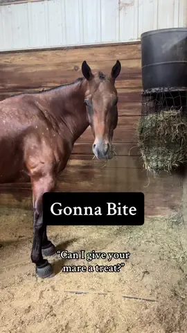It’s just the way she is 🤷🏽‍♀️ #horse #mare #horsesoftiktok 