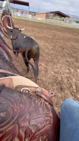 Getting 3 kids + 2 horses + myself ready for a ranch rodeo… in the rain 🌧️🤠 It’s not glamorous, it’s not easy, but it’s real life—and I wouldn’t trade it. This is your reminder: whatever your version of ‘chaos’ looks like, you can still show up and do the dang thing. 💪🐎 • What’s the hardest part of YOUR ‘get everyone out the door’ routine?  • #momlife #rodeo #ranchrodeo #cowgirl #roping 