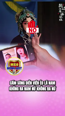 #meohonghot #xuhuong #tintuc24h #doisong #giaitritonghop 