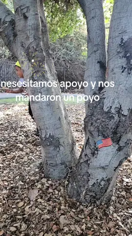 los actores que grabaron la movie con ustedes#ayudaayegara2000seguidore☹️🤭🥰 #juntospodemos #apoyamonos #videoschistosos 