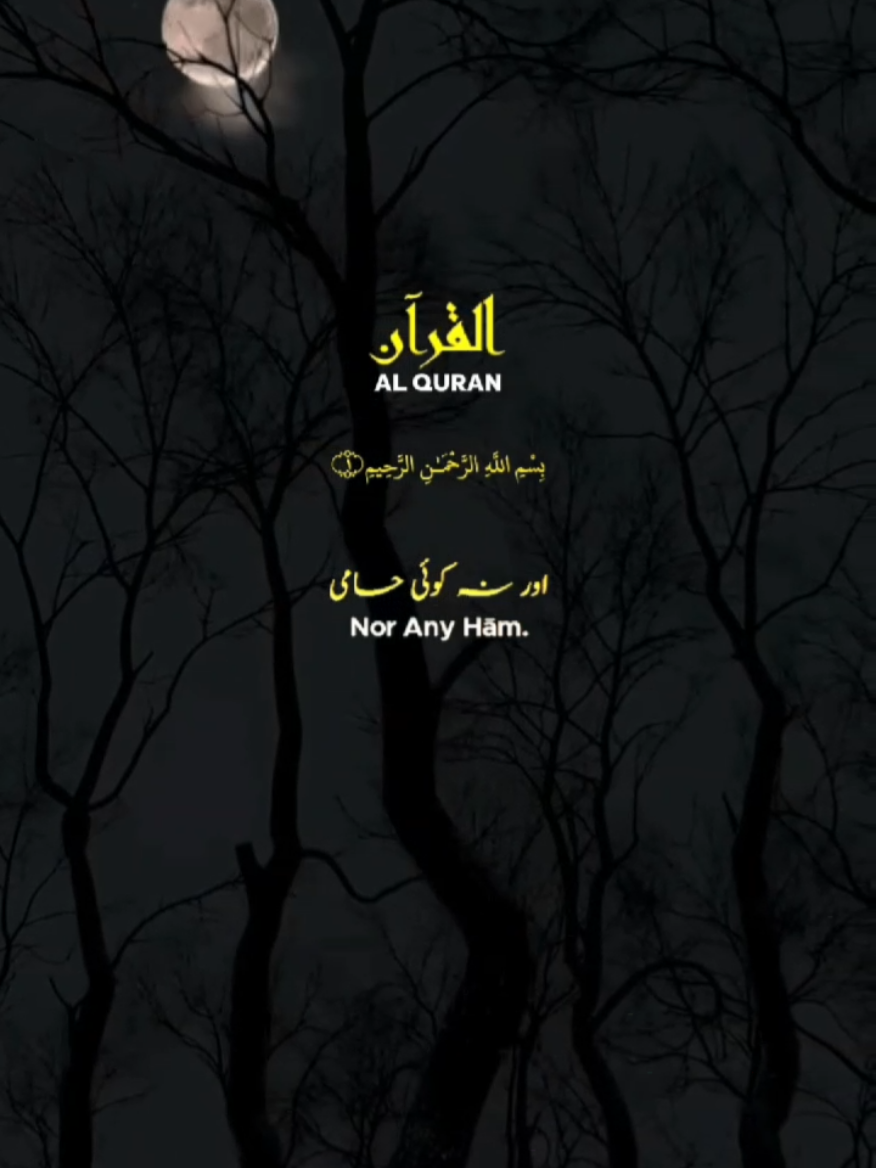 Surah Al Maidah, verse:103❤✨ #sound #quran_recitation_143 #reactionvideo 
