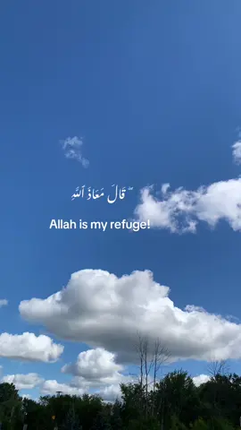 May our eyes always behold beauty 🤲🏼