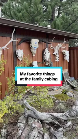 #tour #cabin #memories #history #family 