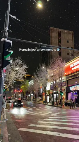 A reminder that Korea will turn into this in just 3 months ❄️🤍 #korea #seoul 