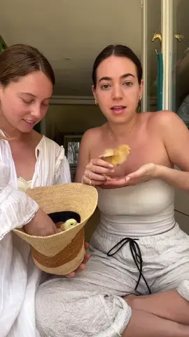 Welcoming the new 🐥 to the farm. ——— #puglia #pugliaguide #pugliaitsly #italysummer #eurosummer #bestfriendstrip