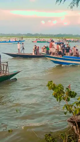 চলনবিল বিলসা 