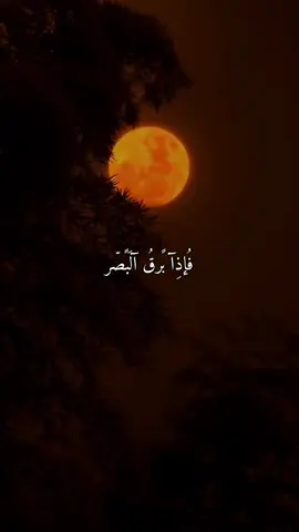 #خسوف_القمر #لااله_الاالله_وحده_لاشريك_له_له_الملك 