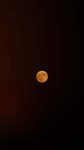 #erbil #kerkuk #slemani #fyp #rasty_lak 🥀🌕