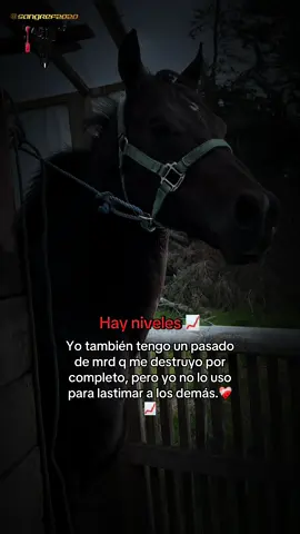#carchi_ecuador🇲🇱 #carchi_ecuador🇪🇨🇲🇱 #sangabriel #caballosecuador🐴🇪🇨 #vidadecampo😍🤠 @Carlos Yandun @fer_benavides @Brayan @TUMBA _AVIONES 