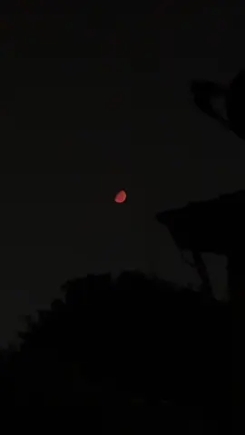 the moon was so red last night  #fyp #moon #redmoon #fypシ #foryoupage 