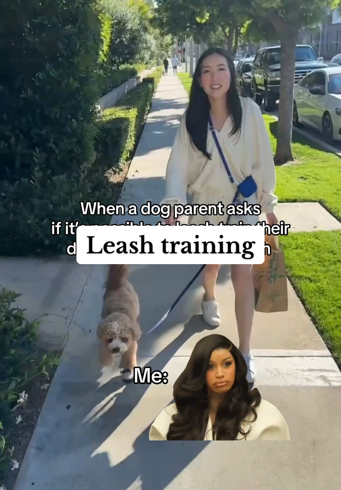 Training isn't an overnight success but with consistency and patience you'd be surprised how smart dogs can be! And nothing makes us happier than hearing how our doggear has helped other dog parents along the way🥹 #dogaccessories #DogTraining #dogwalks #leashtraining #looseleashtraining #crossbodyleash #handsfreeleash #dogleash #dogparents #dogsoftiktok #dogtrainingtips #dogtraining101 