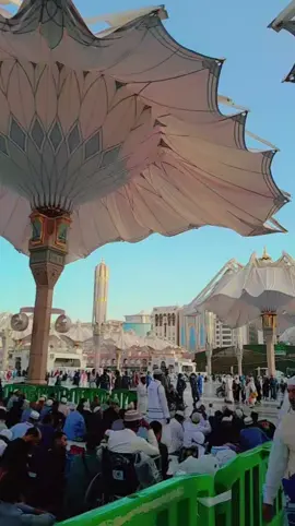#mashaallah #eidmuladunnabi2025 #tiktokpakistan #mashaallah 